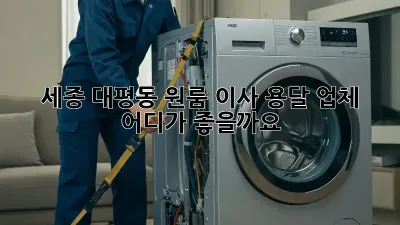 세종 대평동 원룸 이사, 용달 업체 어디가 좋을까요?