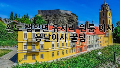 완도 생일면 유서리 원룸 이사, 용달이사 꿀팁!