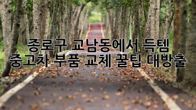 종로구 교남동에서 득템?! ✨ 중고차 부품 교체 꿀팁 대방출!